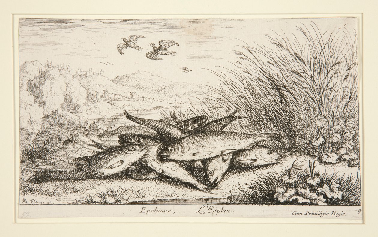 Epelanus, L alkotó: Albert Flamen