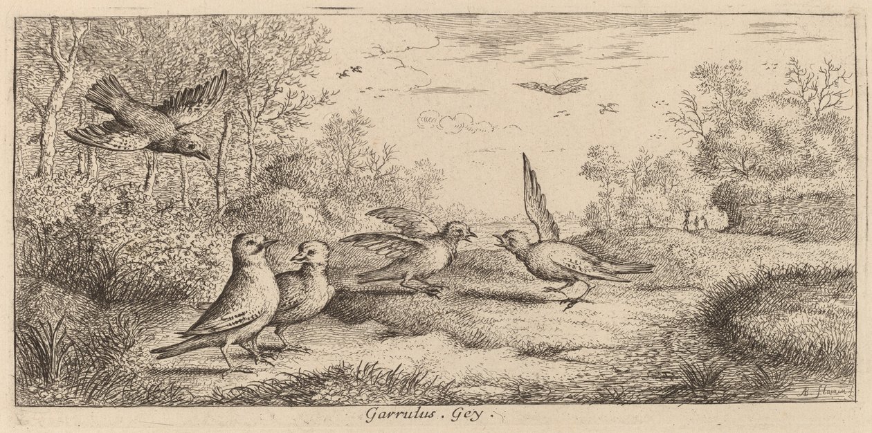 Garrulus, The Jay alkotó: Albert Flamen