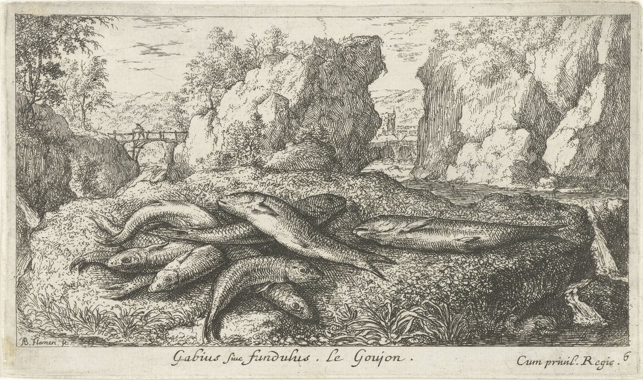 Gébik a folyóparton Gabius siue fundulus. Le Goujon. (cím a tárgyon) Halak és más tengeri élőlények – édesvízi második sorozat (sorozat címe) Seconde partie de Poissons d