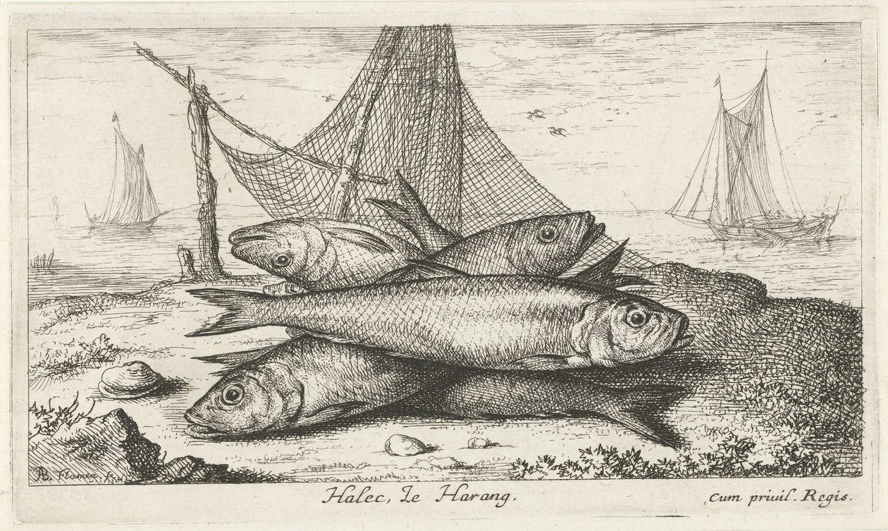 Csapok a halászhálóban Halec, LeHarang. (cím a tételen) Halak és más tengeri élőlények – sósvízi második sorozat (sorozat címe) Poissons de mer (sorozat címe) alkotó: Albert Flamen