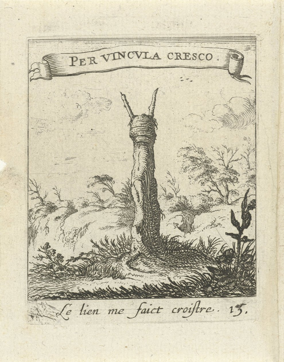 Táj fatönk Moralizing Love Emblems (sorozat címe) Devises et emblesmes d