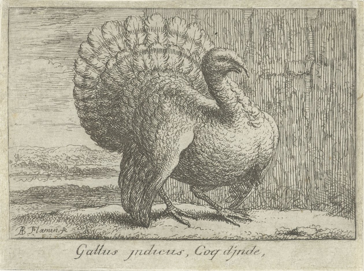 Landschap met kalkoen Gallus indicus, Coq d