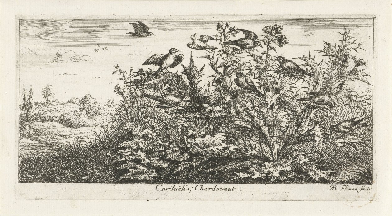 Táj aranypintyekkel a bogáncsban Carduelis; Chardonneret. (cím a tárgyon) Madárkönyv (sorozat címe) Livre d