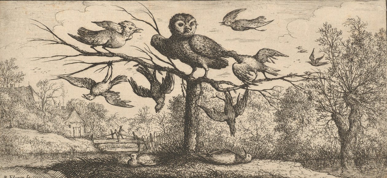 Monedula, Chouëtte A bagoly: Livre d