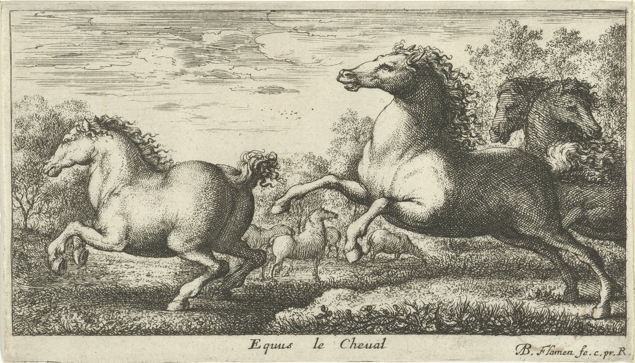 Lovak Equus le Cheval (cím a tárgyon) Különböző állatfajok (sorozat címe) alkotó: Albert Flamen