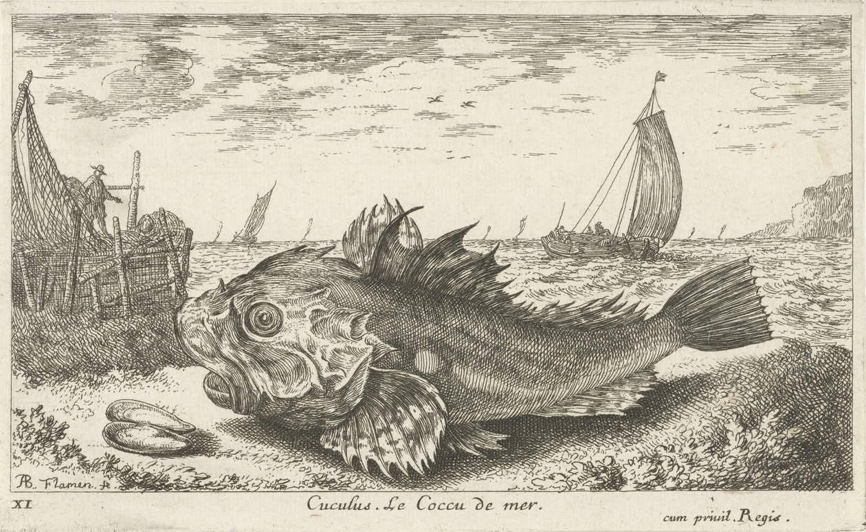Poon a tengerparton Cuculus. Le Coccu de mer (cím a tárgyon) Halak és más tengeri élőlények – sósvízi első sorozat (sorozat címe) Diverse Especes de Poissons de mer (sorozat címe) alkotó: Albert Flamen
