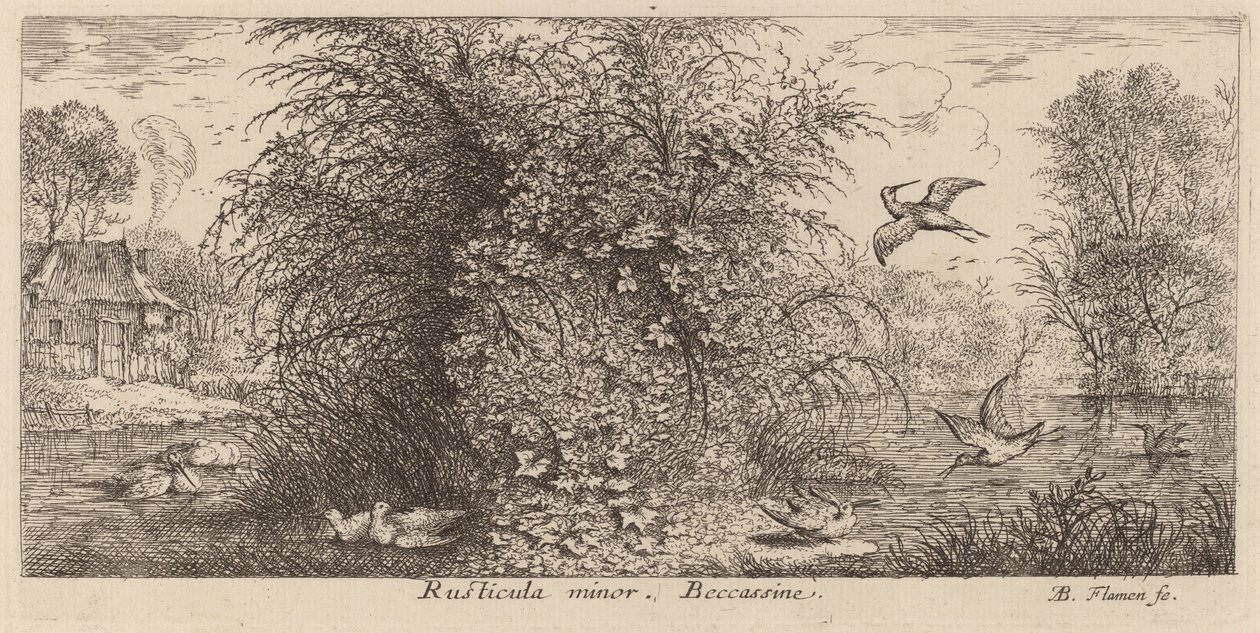Rusticula minor, A szalonka alkotó: Albert Flamen