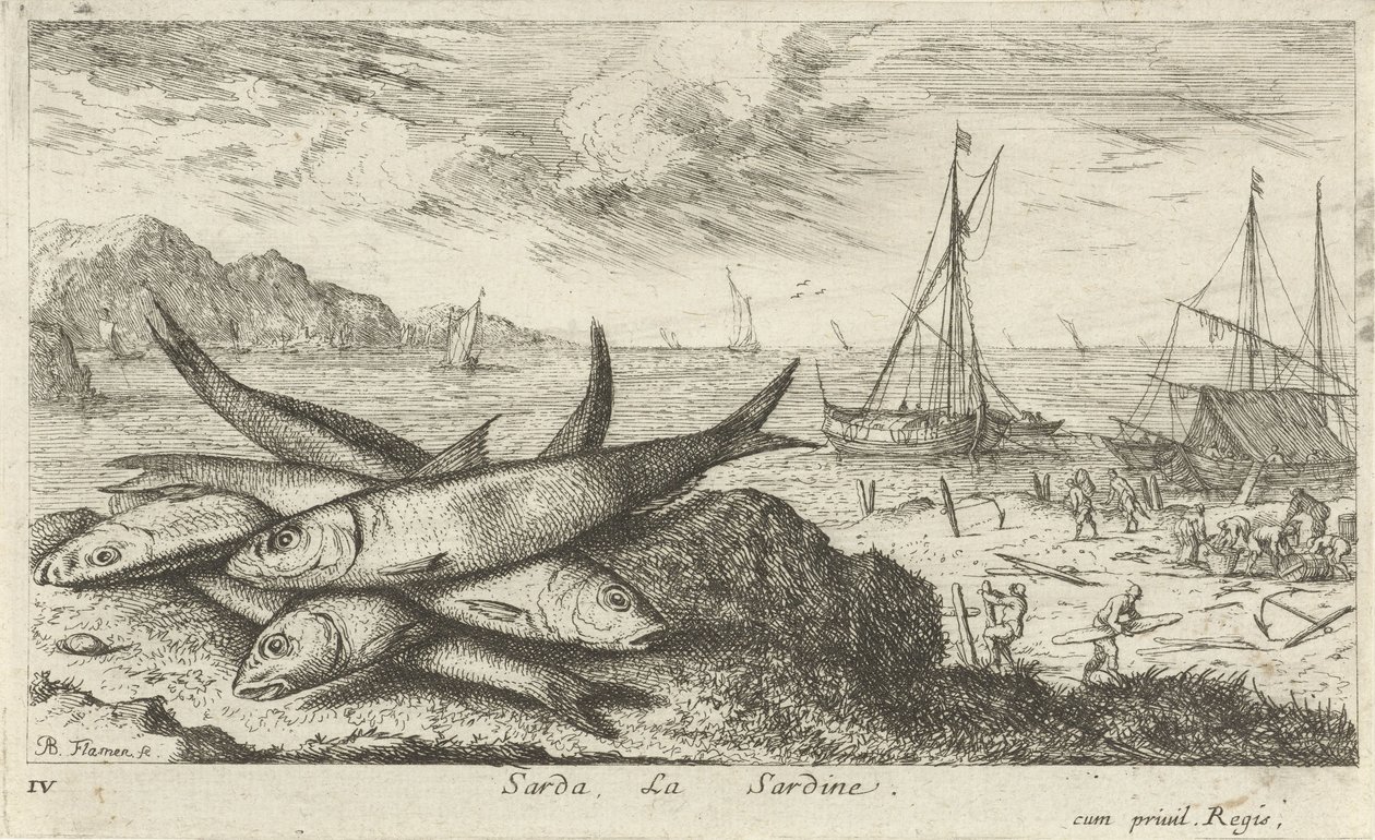 Szardínia a tengerparton Sarda, La Sardine. (cím a tárgyon) Halak és más tengeri élőlények – sósvízi első sorozat (sorozat címe) Diverse Especes de Poissons de mer (sorozat címe) alkotó: Albert Flamen