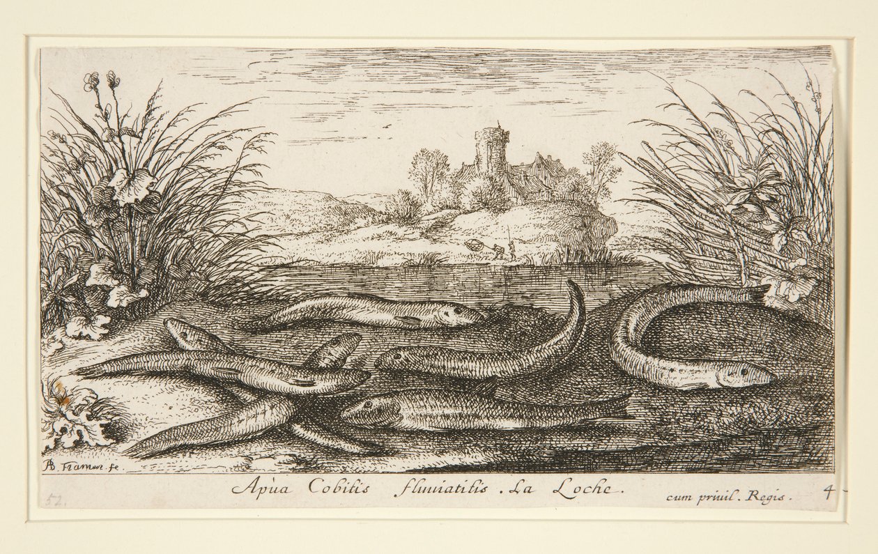 The Minnow, a Fresh Water Fish sorozat második részéből alkotó: Albert Flamen