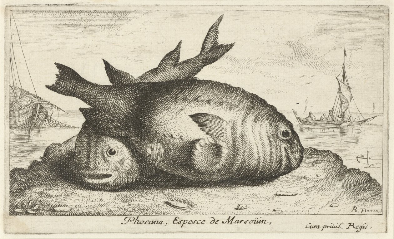 Két delfin a tengerparton Phoca Na, Espèce de Marsoüin, (cím a tárgyon) Halak és egyéb tengeri élőlények – Sósvízi harmadik sorozat (sorozat címe) Poissons de mer (sorozat címe) alkotó: Albert Flamen