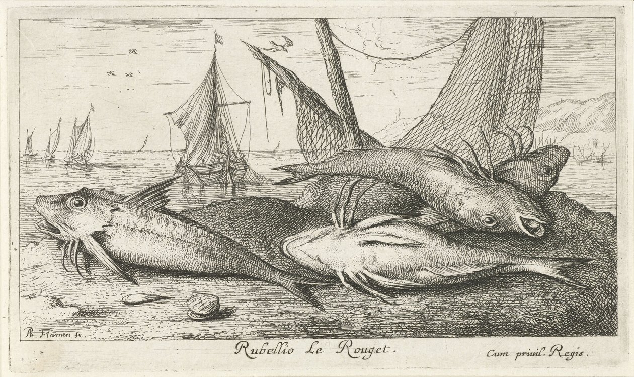 Négy vörös márna a tengerparton Rubellio Le Rouget. (cím a tárgyon) Halak és más tengeri élőlények – sósvízi második sorozat (sorozat címe) Poissons de mer (sorozat címe) alkotó: Albert Flamen