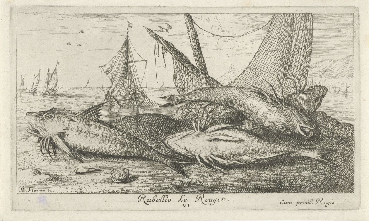 Négy vörös márna a tengerparton Rubellio Le Rouget. (cím a tárgyon) Halak és más tengeri élőlények – sósvízi második sorozat (sorozat címe) Poissons de mer (sorozat címe) alkotó: Albert Flamen