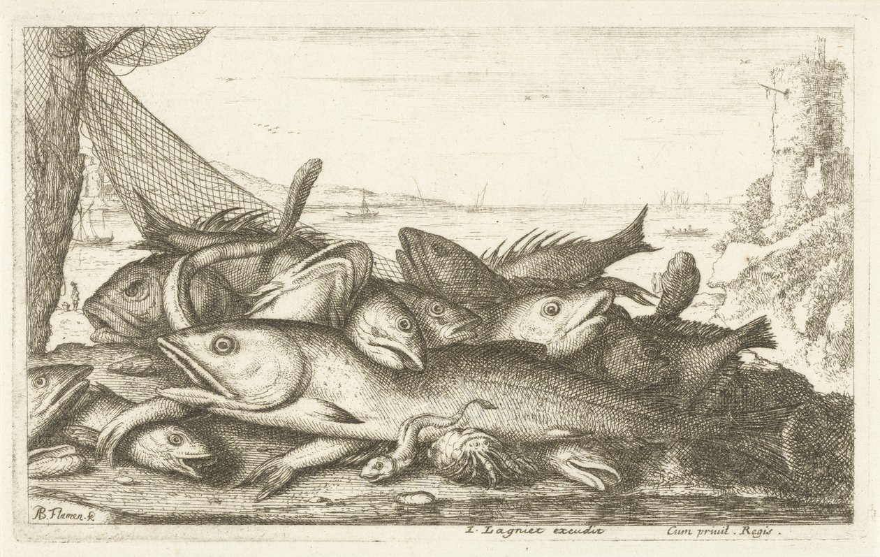 Remete rák horgászat Különböző halfajok (sorozat címe) Diverse Especes De Poissons tant de Mer, que d