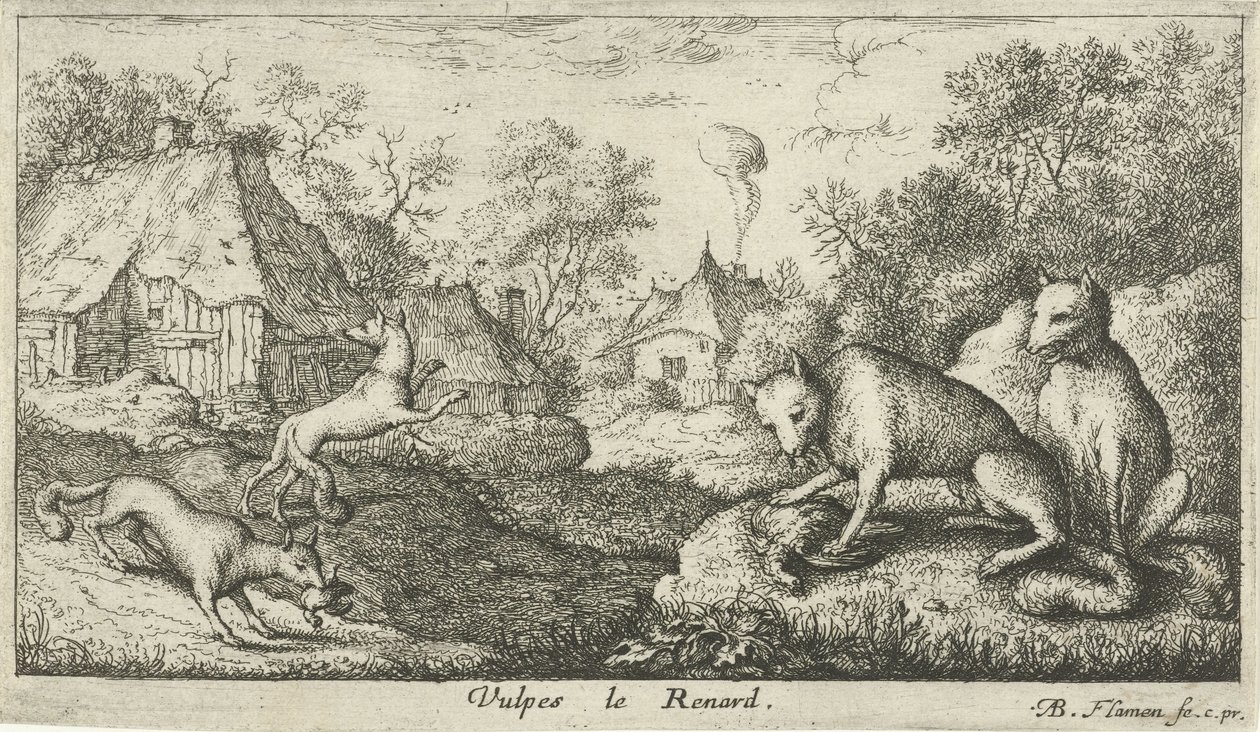 rókák Vulpes le Renard (cím a tárgyon) Különböző állatfajok (sorozat címe) alkotó: Albert Flamen