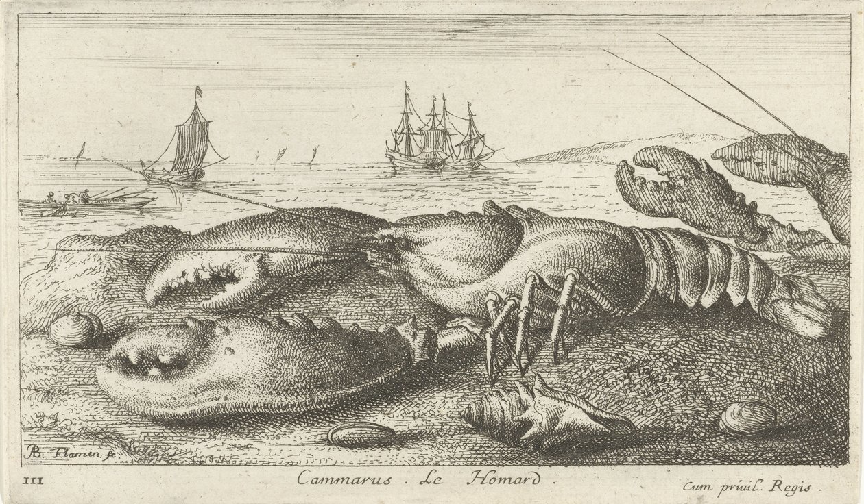 Homár a tengerparton Cammarus. LeHomard (cím az objektumon) Halak és más tengeri élőlények – sósvízi első sorozat (sorozat címe) Diverse Especes de Poissons de mer (sorozat címe) alkotó: Albert Flamen