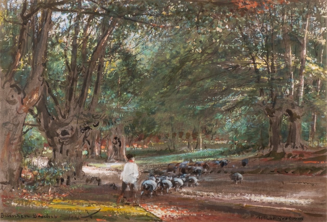 Burnham Beeches (akvarell és testfesték) alkotó: Albert Goodwin