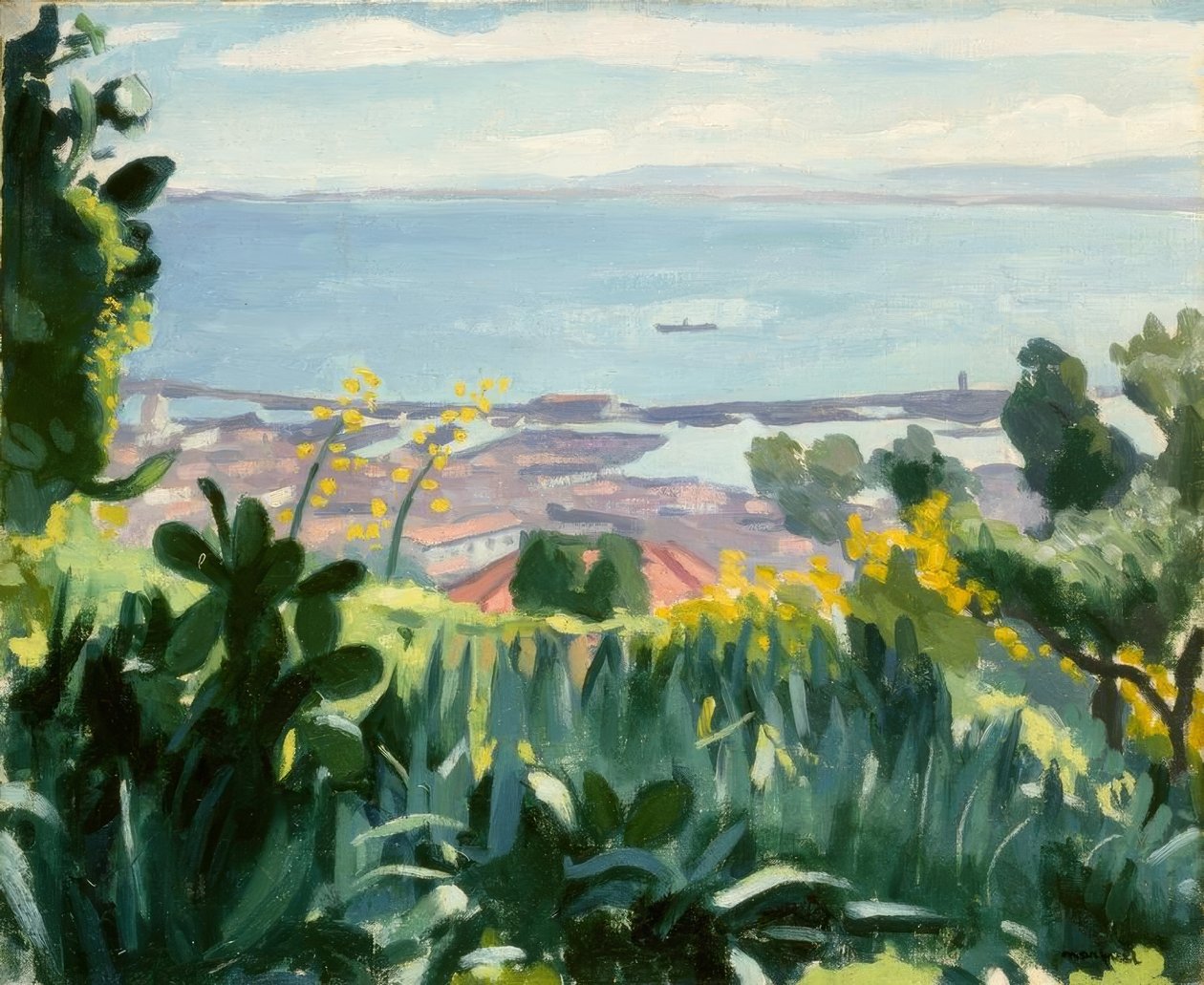 Algír - Kilátás a Mustapha-hegyről alkotó: Albert Marquet