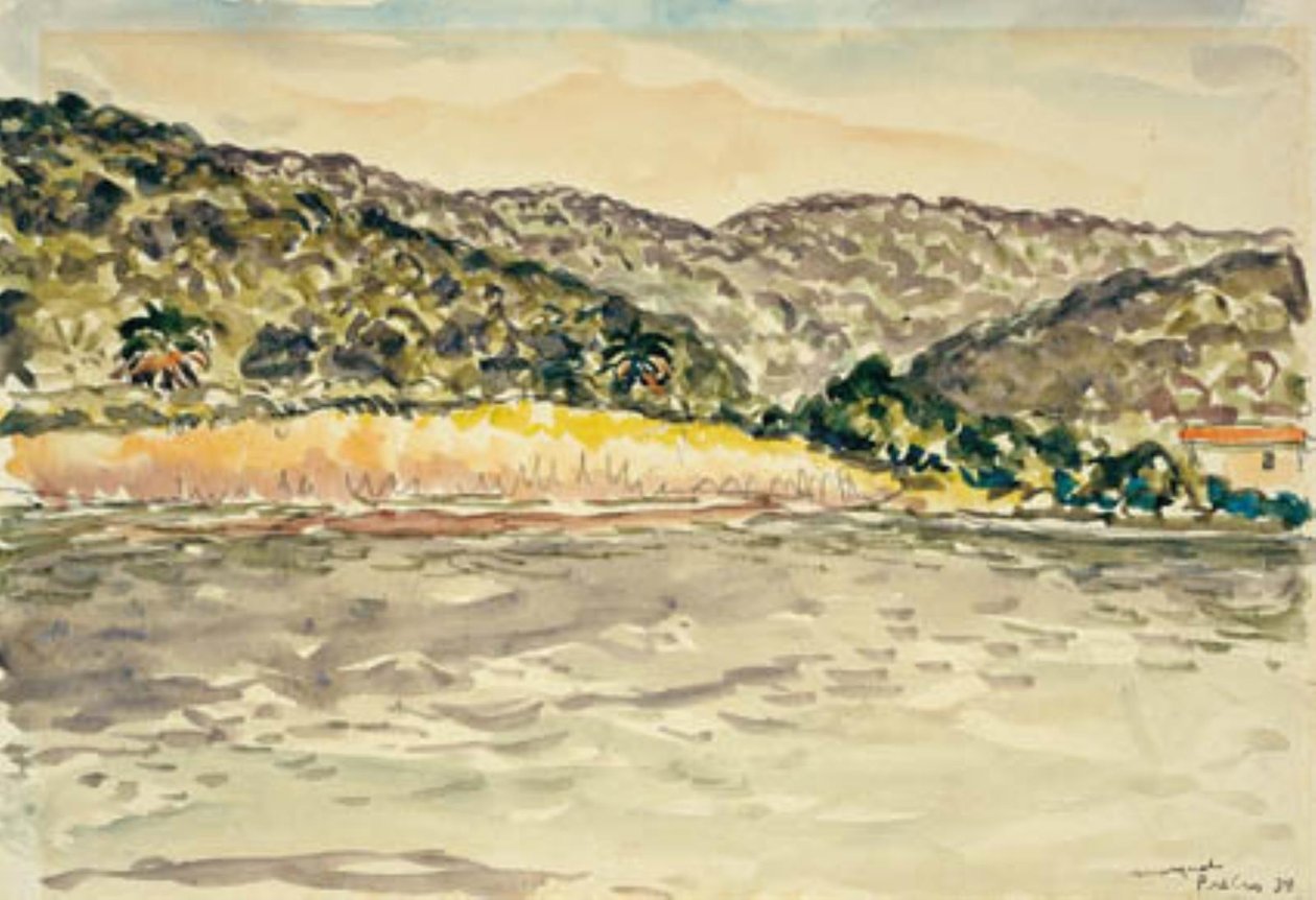 Tengerparti táj az Île de Port Crosnál alkotó: Albert Marquet