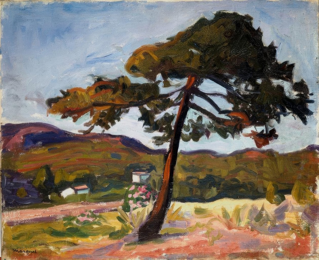 Fenyőfa St. Tropez-ban alkotó: Albert Marquet