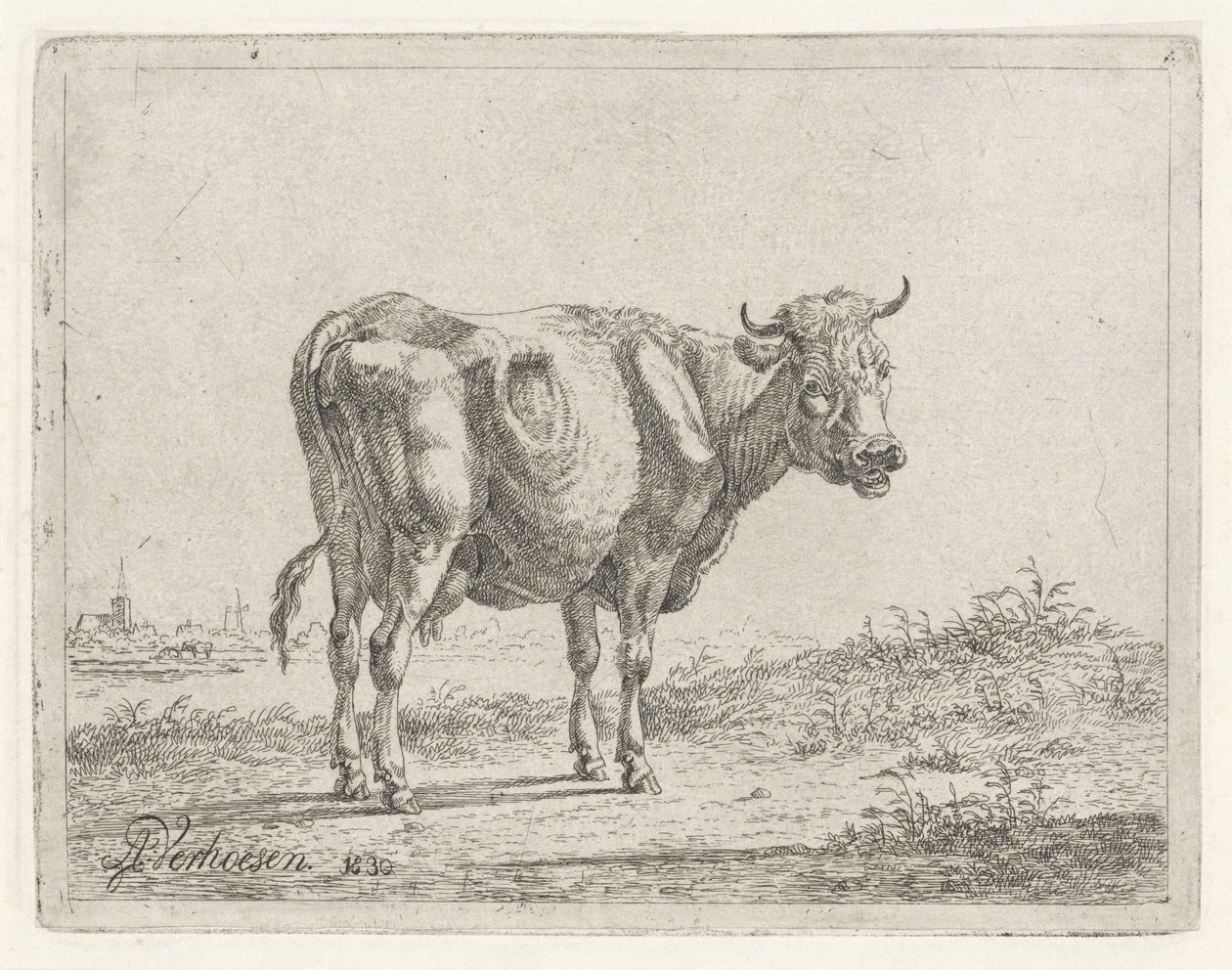 álló tehén alkotó: Albertus Verhoesen