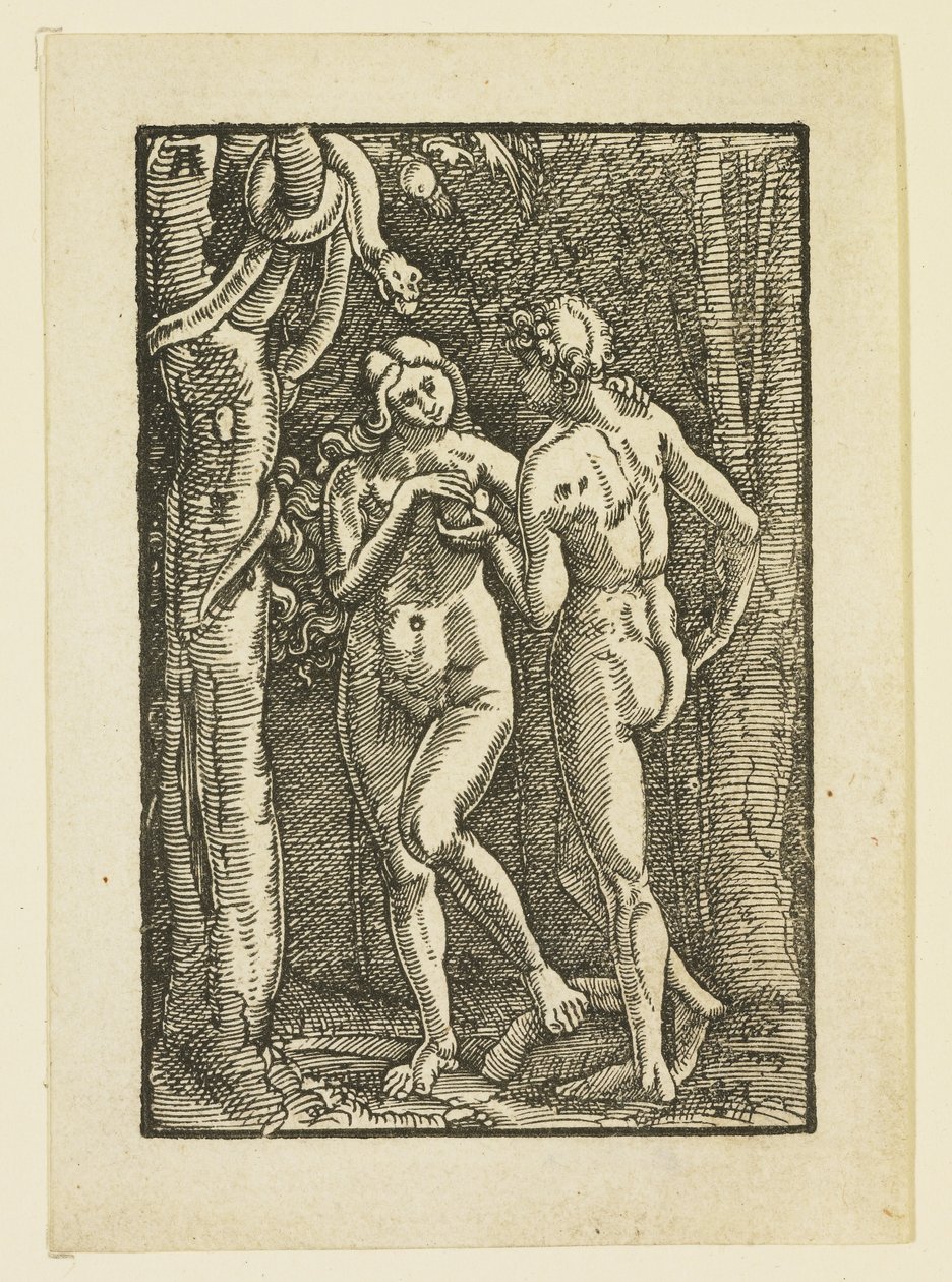 Ádám és Éva megeszik a tiltott gyümölcsöt, 1513 körül alkotó: Albrecht Altdorfer