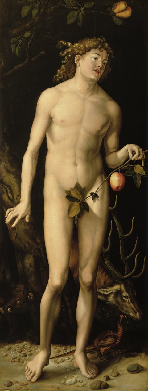 Ádám alkotó: Albrecht Dürer