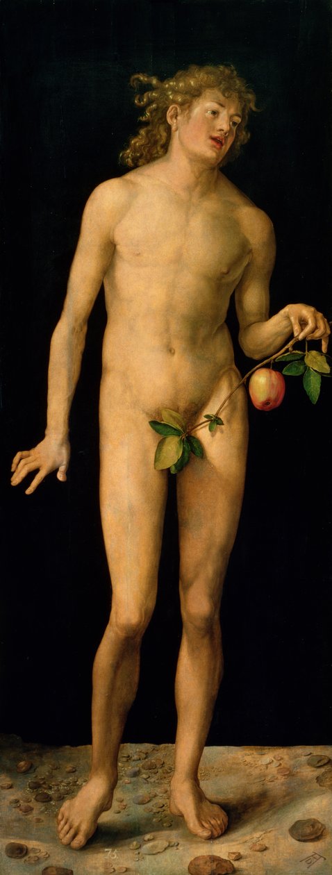 Ádám, 1507 alkotó: Albrecht Dürer