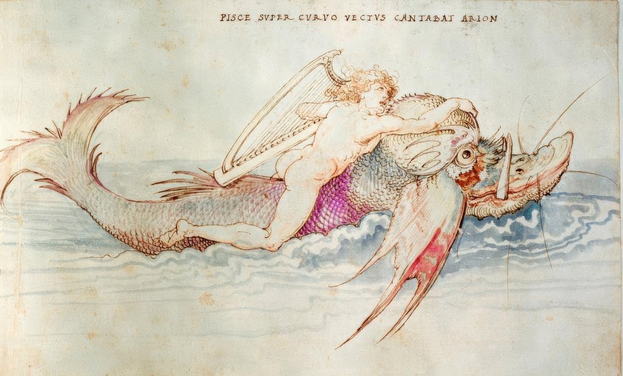 Ariont megmenti egy delfin alkotó: Albrecht Dürer