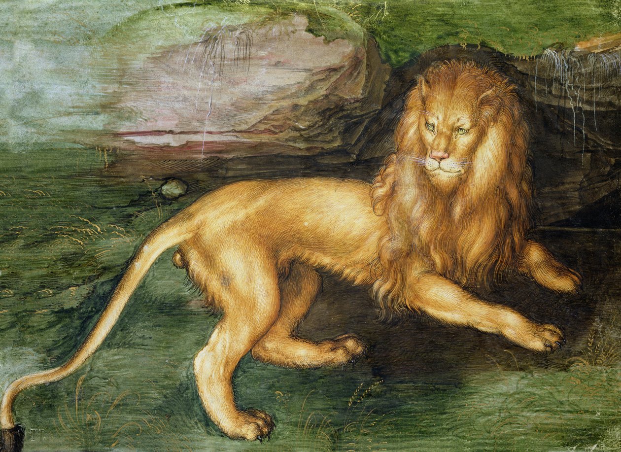 Lion alkotó: Albrecht Dürer