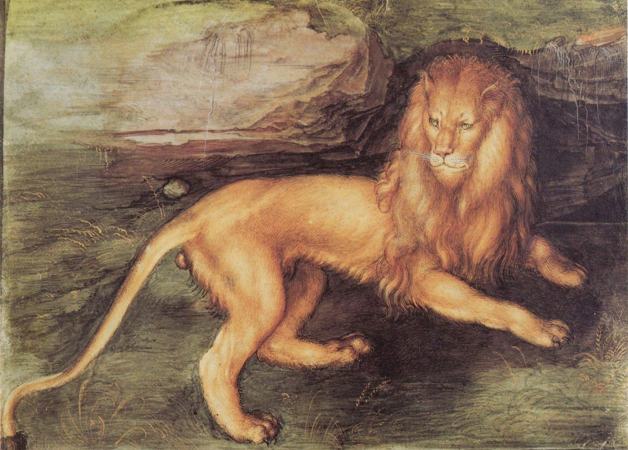 Oroszlán alkotó: Albrecht Dürer