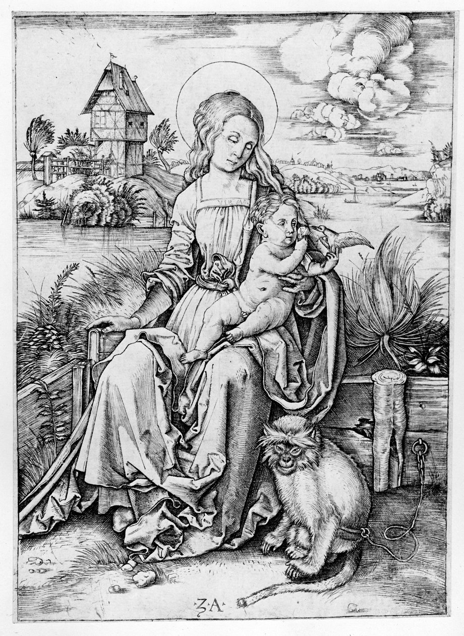 Madonna a majommal alkotó: Albrecht Dürer