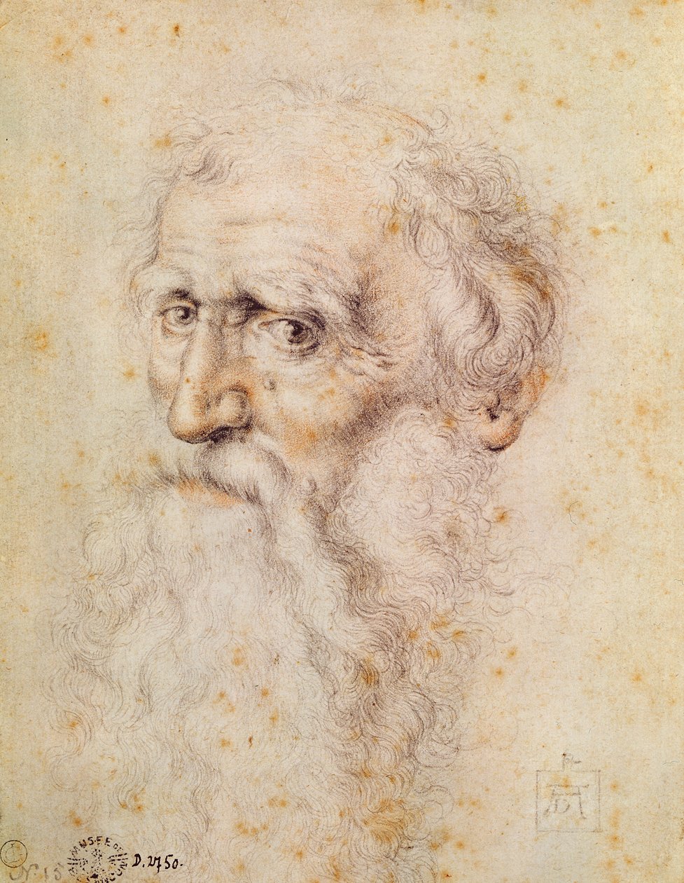 Egy szakállas öregember portréja (vörös kréta és pierre noire) alkotó: Albrecht Dürer
