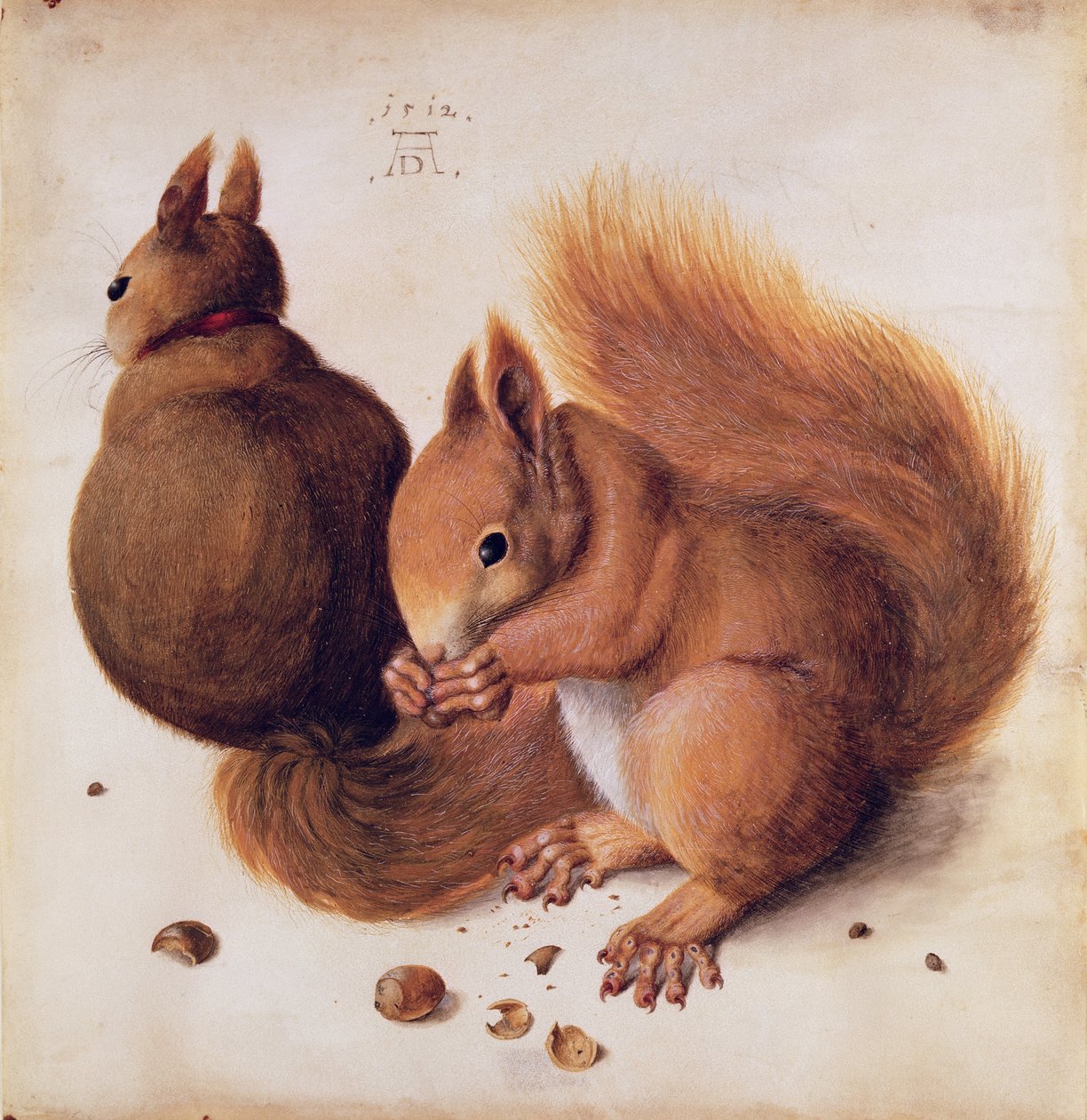 Mókusok, 1512 (tempera pergamen) alkotó: Albrecht Dürer
