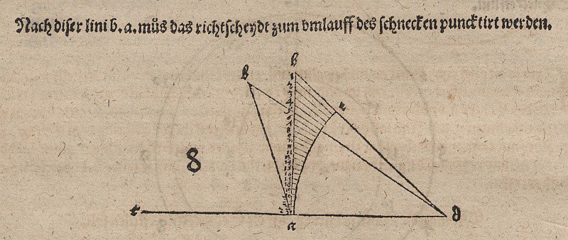 Tangens spirál és rokonai alkotó: Albrecht Dürer