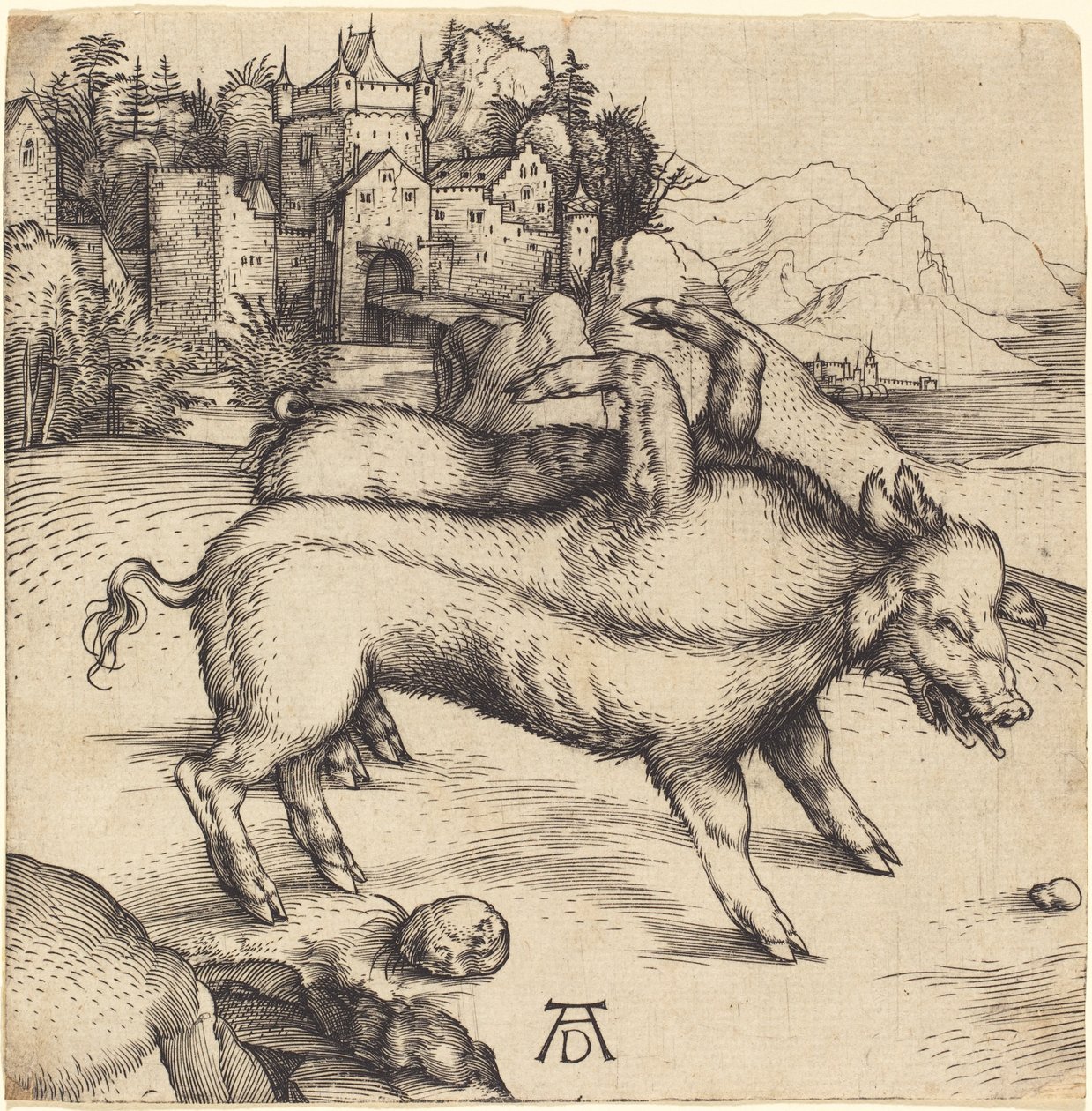 Landser szörnyű disznója alkotó: Albrecht Dürer