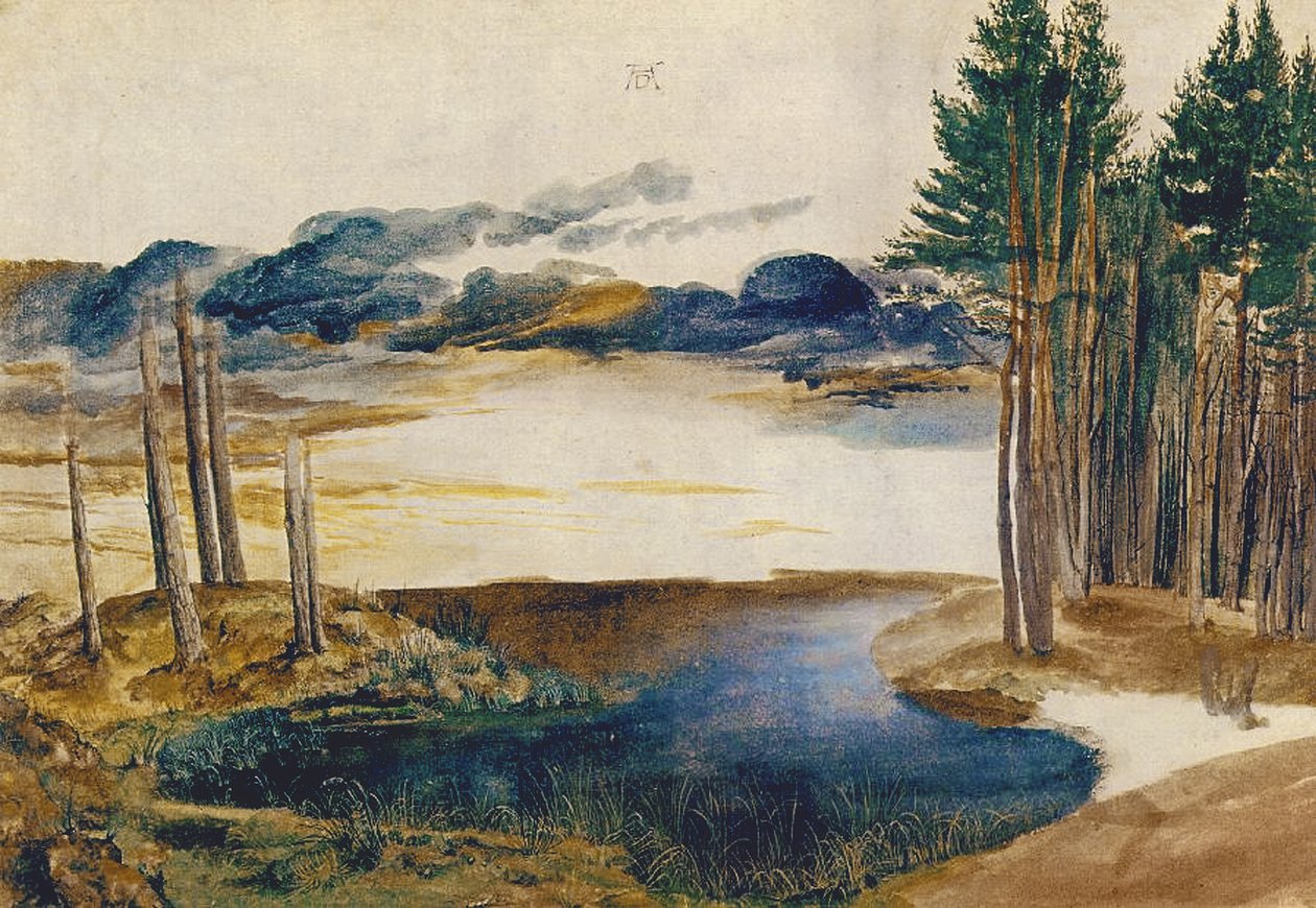 Pond in the Wood, 1496 körül (wc és gouache papíron) alkotó: Albrecht Dürer