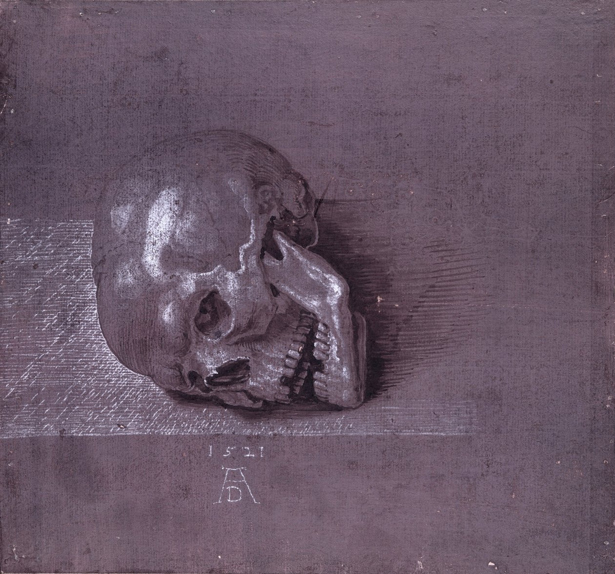 Tanulmány egy emberi koponyáról, 1521 (toll és tinta, kréta, papír) alkotó: Albrecht Dürer