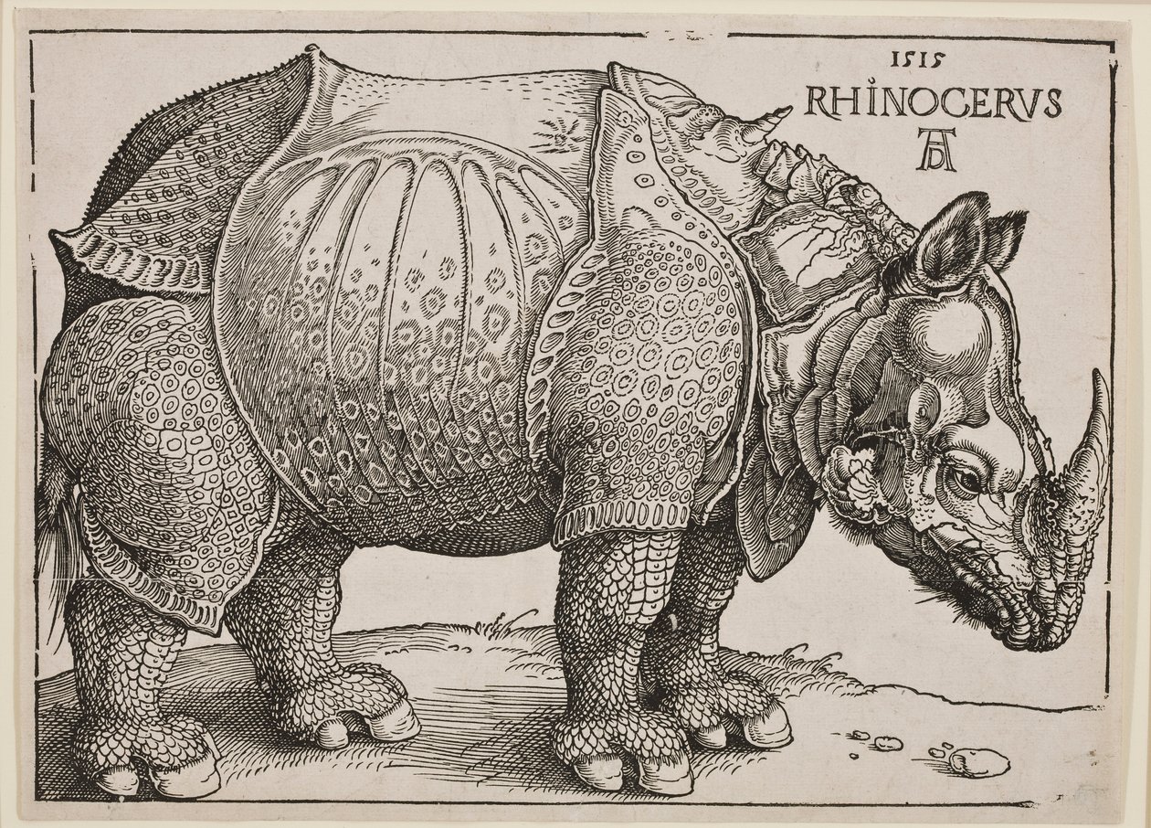 Az orrszarvú, 1515 alkotó: Albrecht Dürer