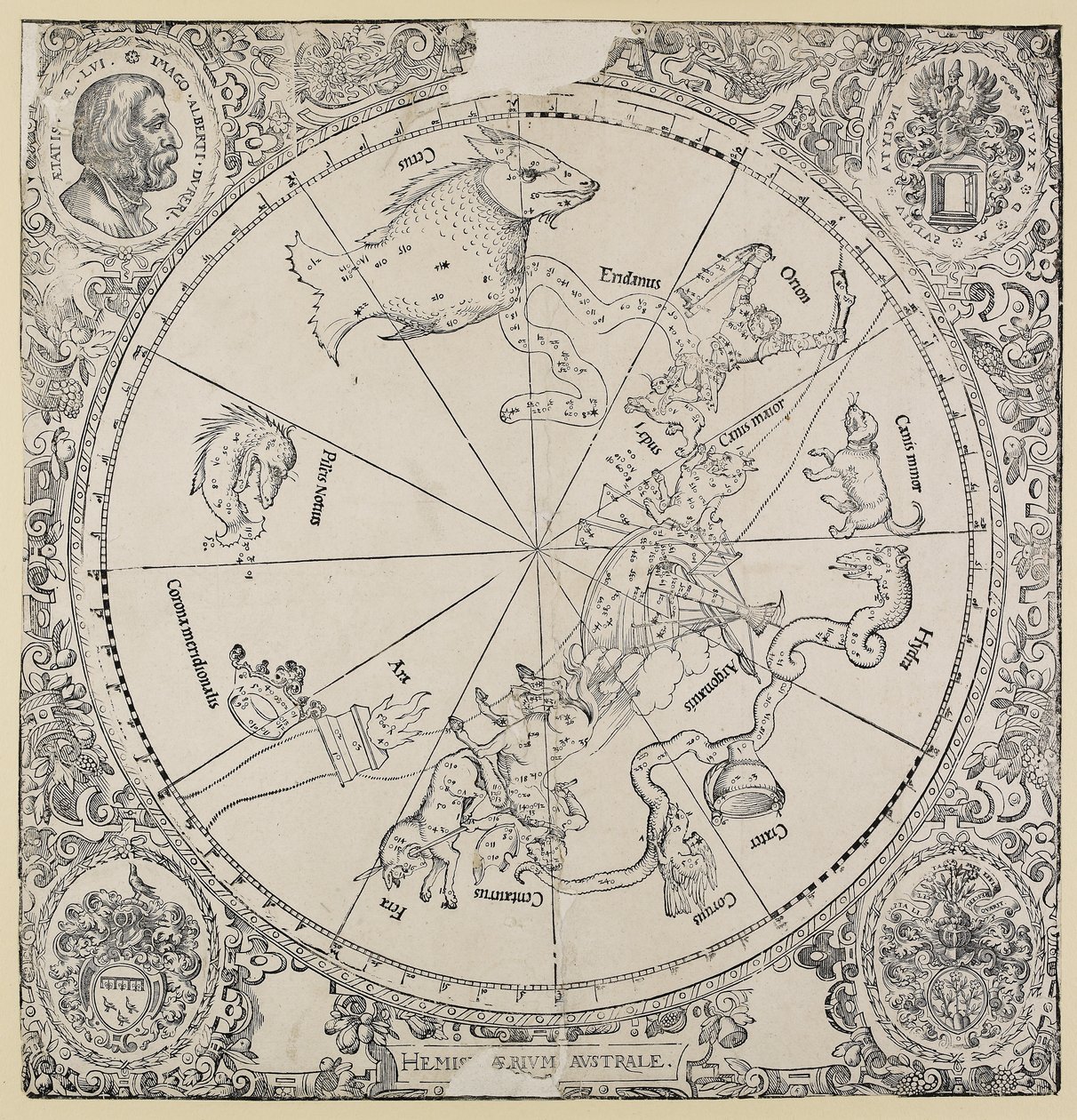 A déli félteke égi térképe alkotó: Albrecht Dürer