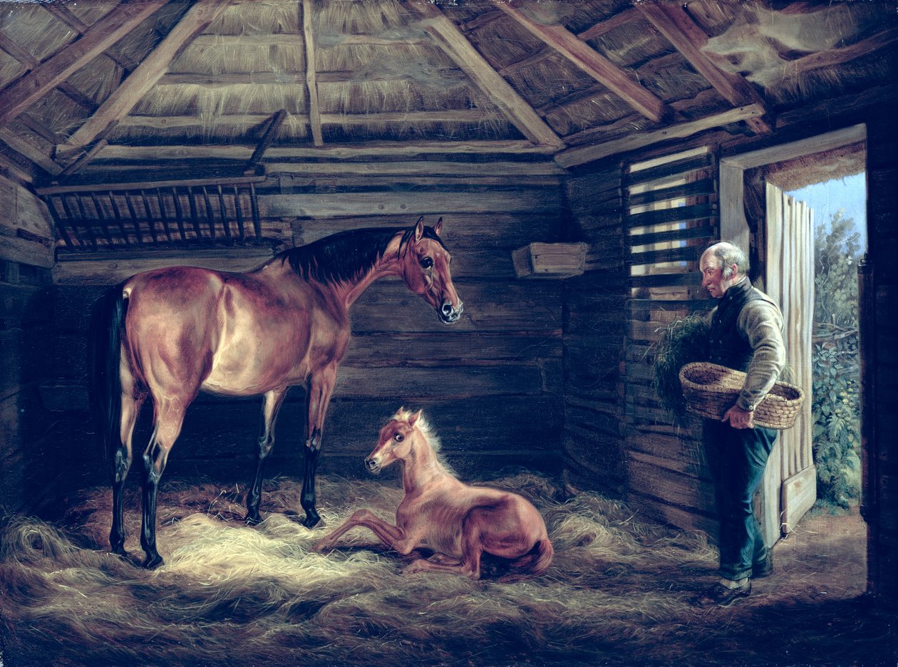 Angol kanca csikóival, 1833 alkotó: Albrecht Adam