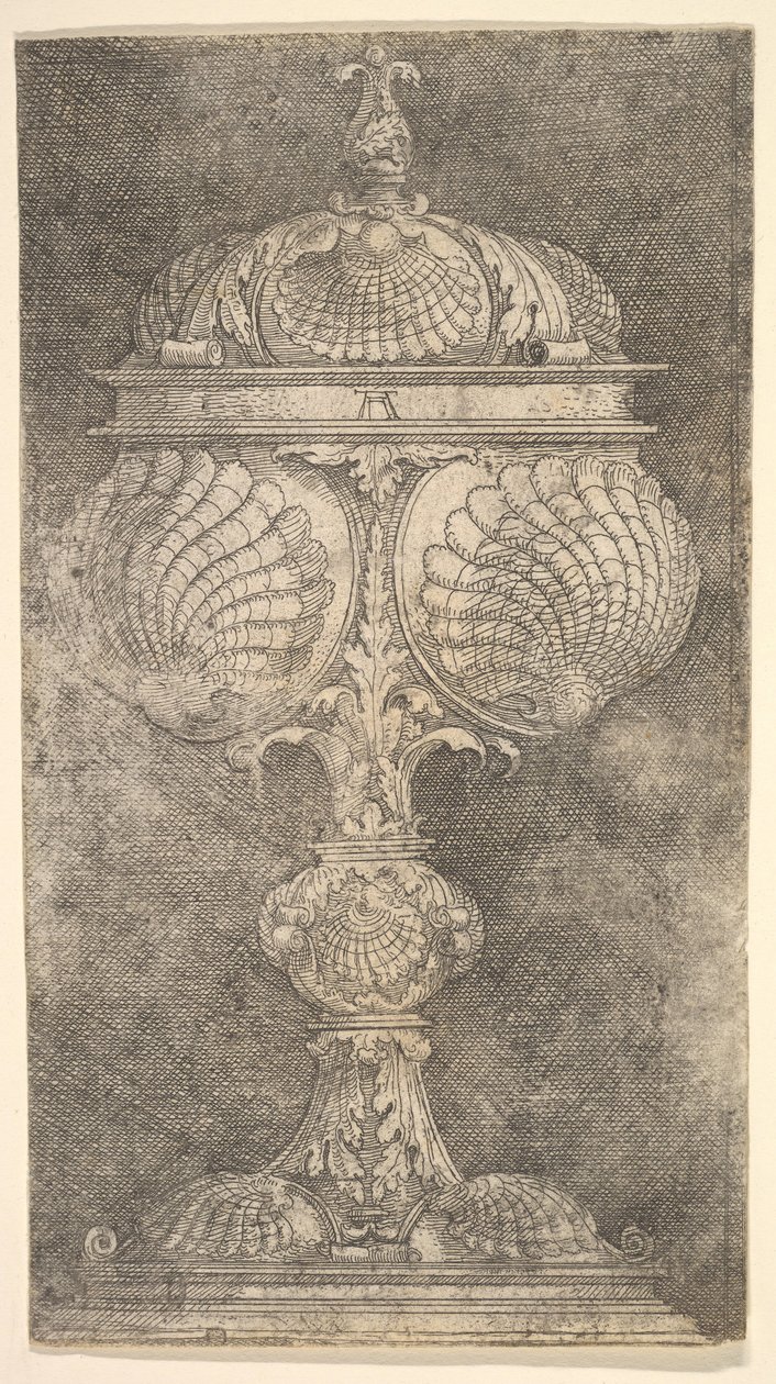 Fedett Serleg Shells.n.d. alkotó: Albrecht Altdorfer