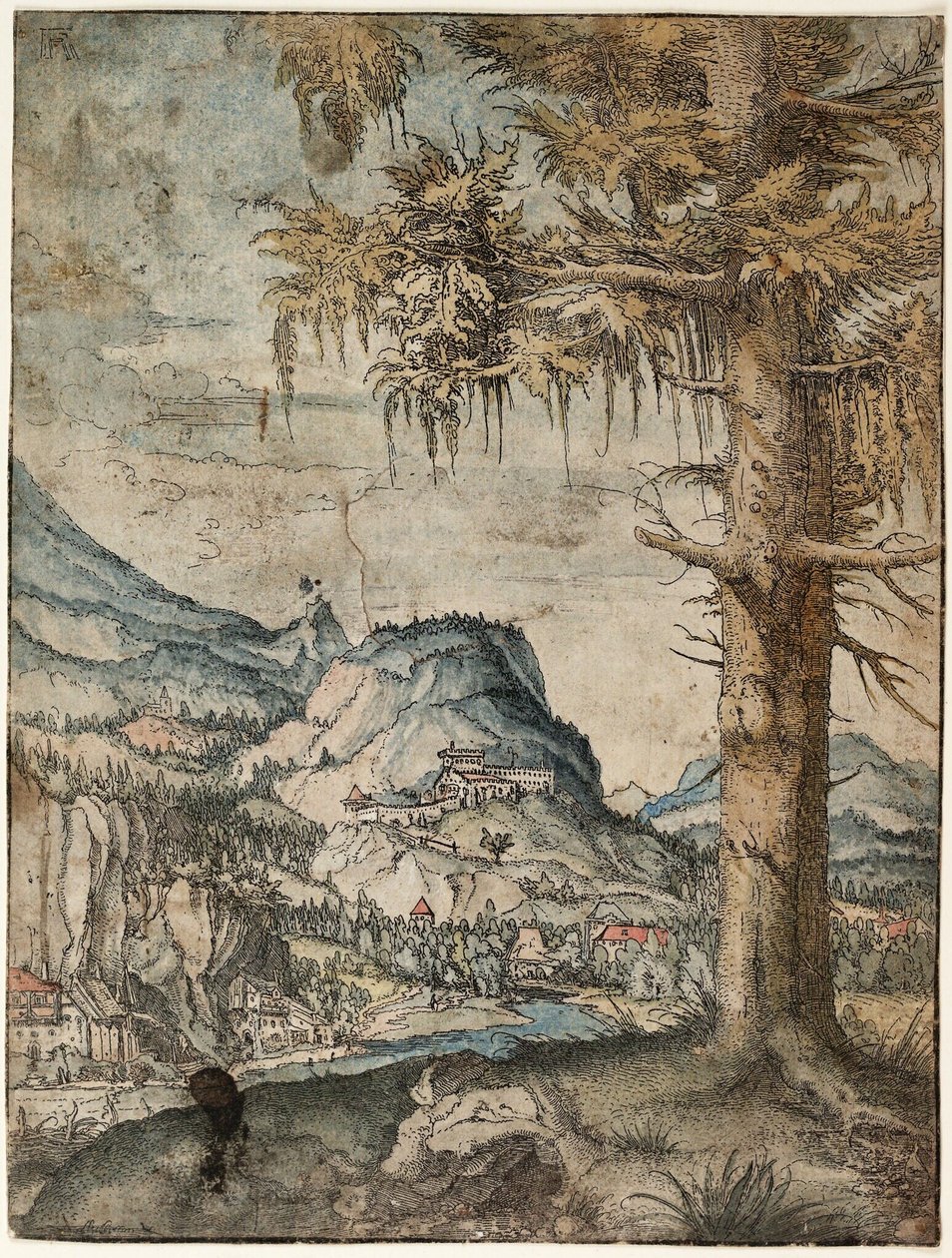 Német: A nagy lucfenyő Nagy lucfenyő alkotó: Albrecht Altdorfer