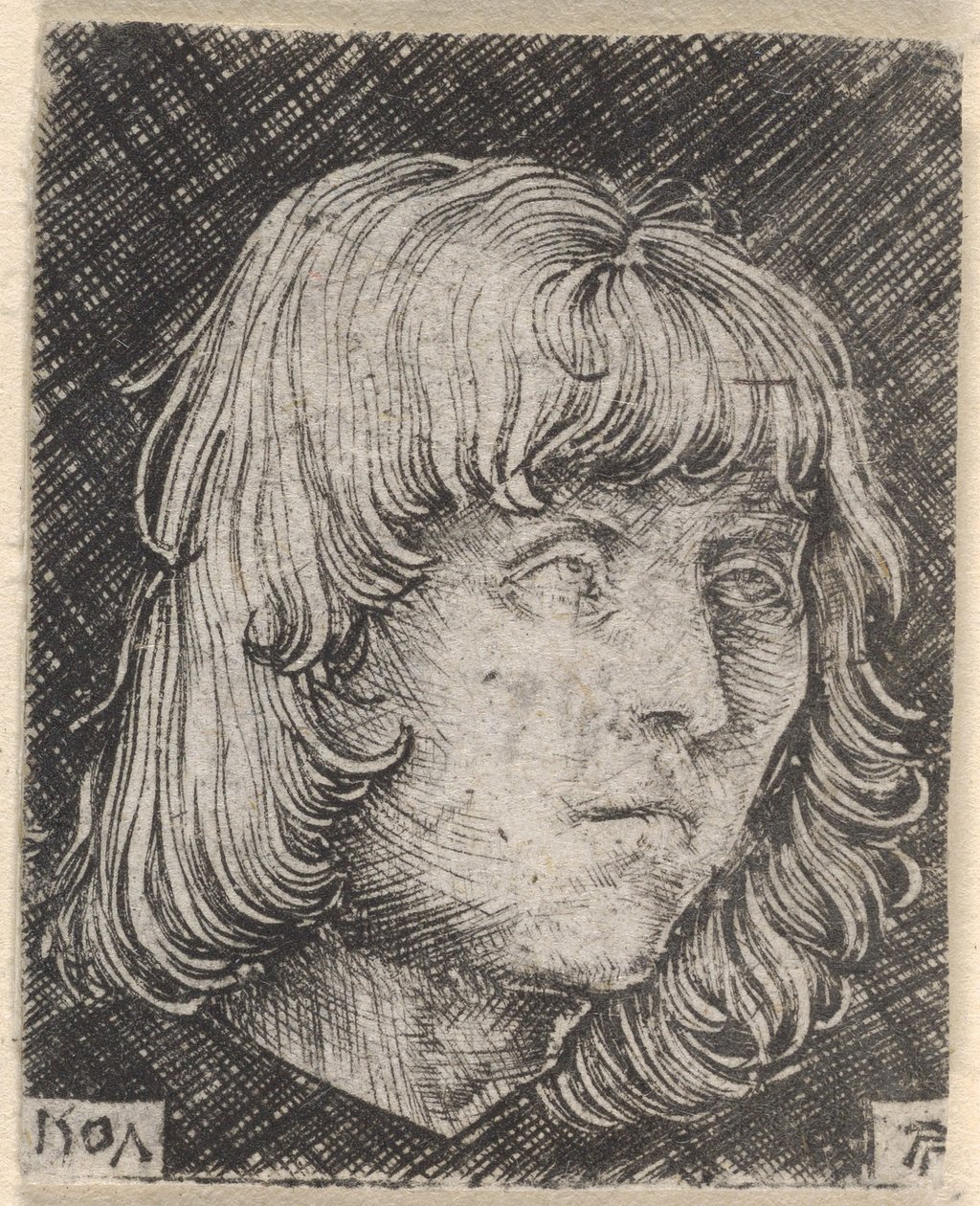 Egy fiatal férfi feje alkotó: Albrecht Altdorfer