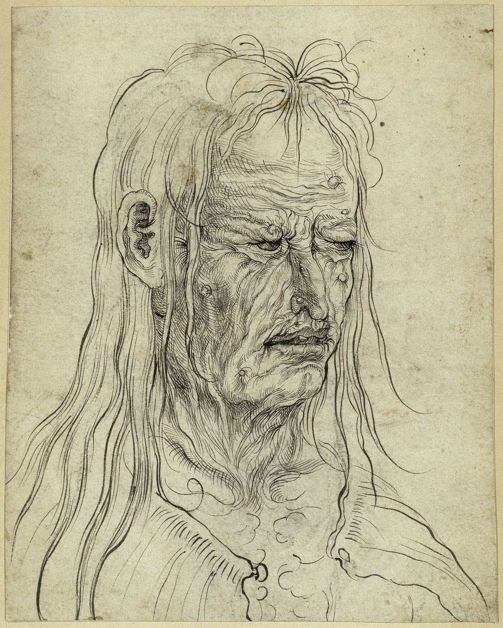 Egy csúnya idős asszony feje, jobbra néző alkotó: Albrecht Altdorfer