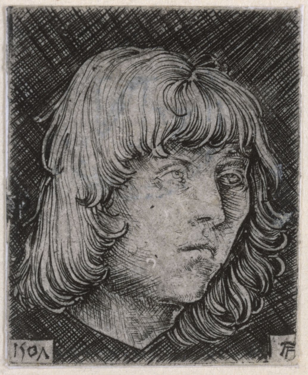 Egy fiatal férfi feje alkotó: Albrecht Altdorfer