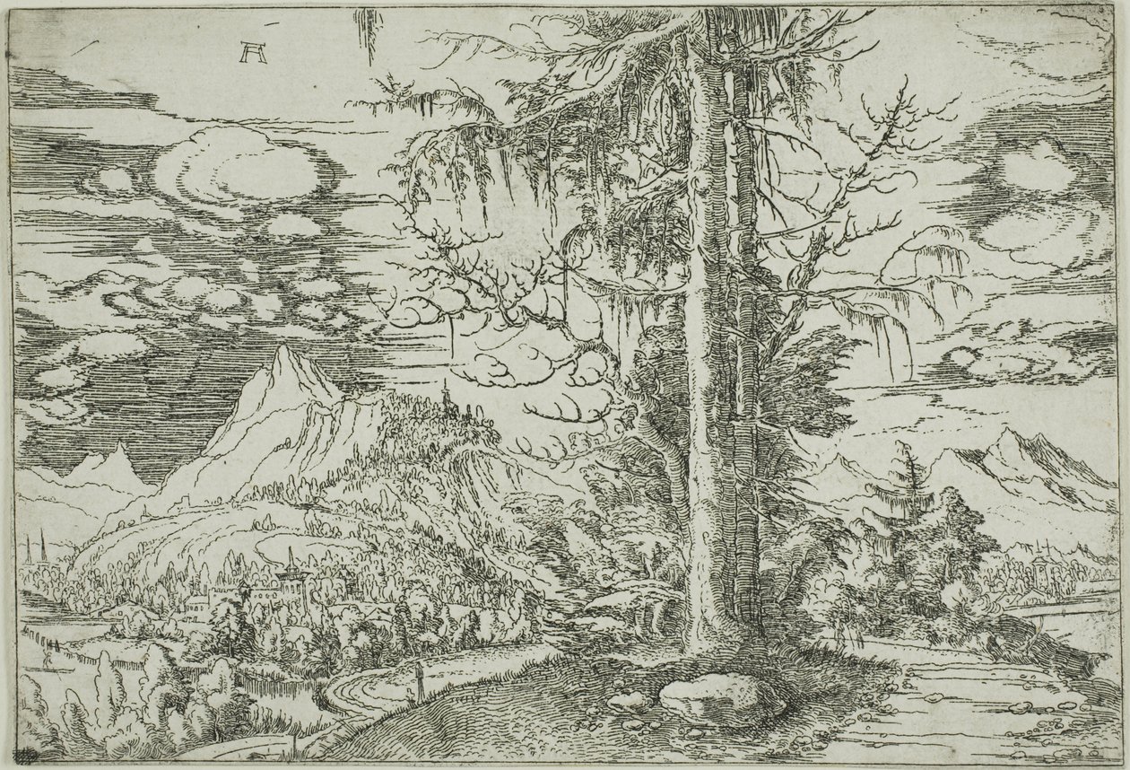 Táj dupla lucfenyővel alkotó: Albrecht Altdorfer