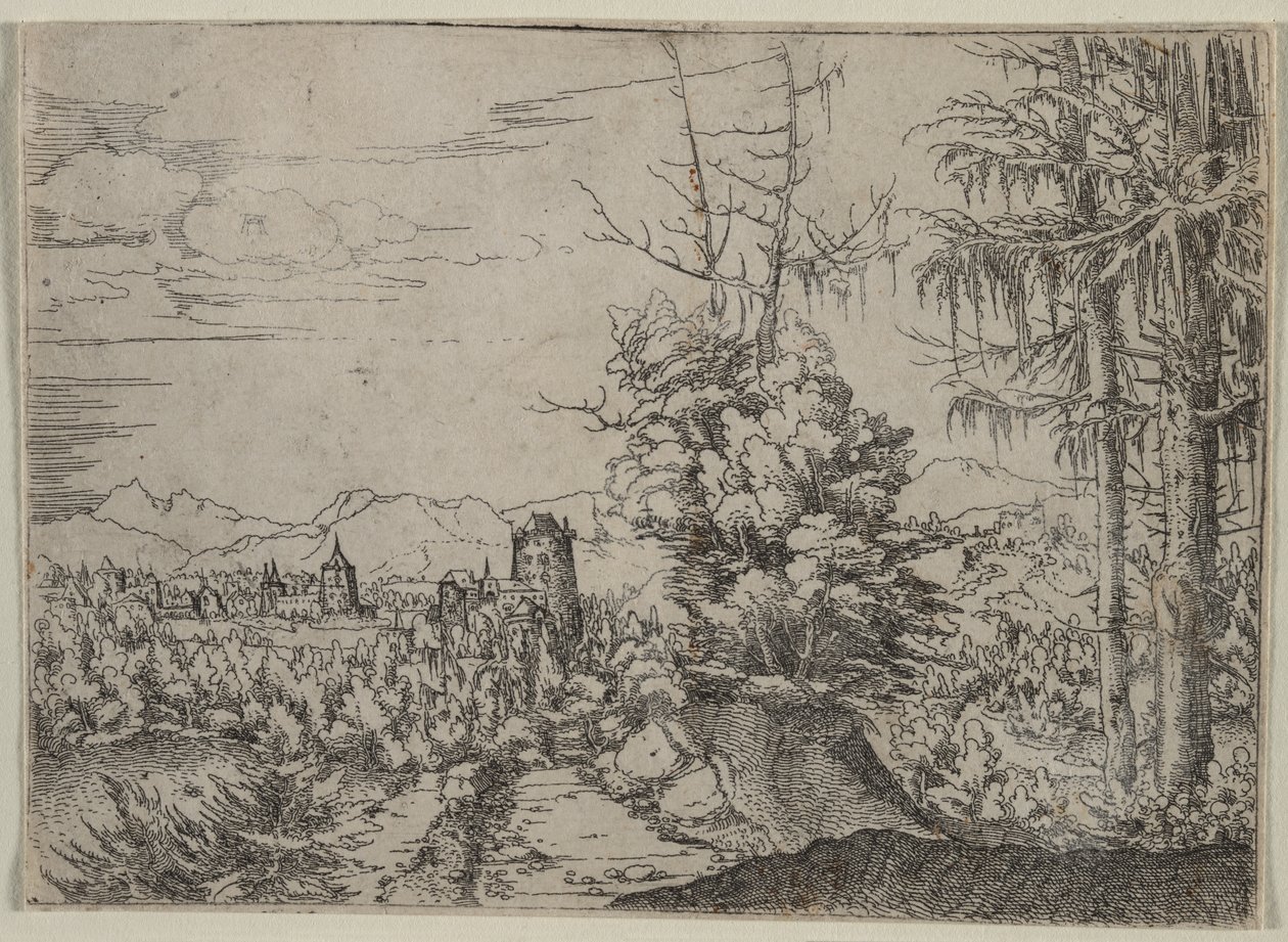 Táj két fenyővel, 1522-1525. alkotó: Albrecht Altdorfer