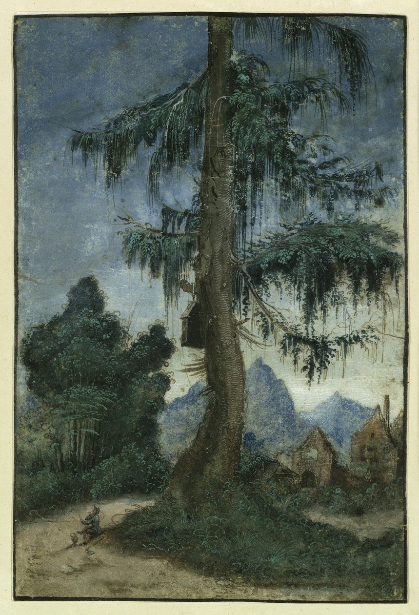 Táj lucfenyővel alkotó: Albrecht Altdorfer