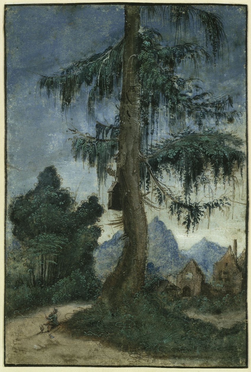 Táj lucfenyővel alkotó: Albrecht Altdorfer