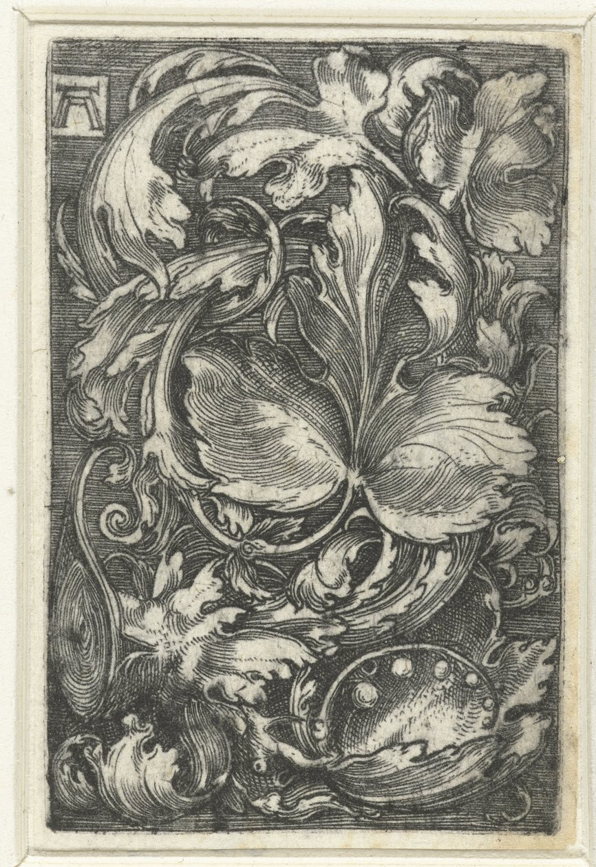 Dísz találkozott bladranken alkotó: Albrecht Altdorfer